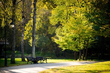 Wall Mural - There is a lantern and two benches for romantic dates in the park near the walking path. Walk in the fresh air. Wonderful weather, warm sunny autumn day