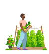 Smiling african man carrying box full of harvested vegetables in kitchen garden. Vector flat illustration