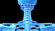 3d rendered medical illustration of a wireframe style skeletal cervical spine