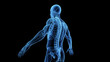 3d rendered medical illustration of the spine,