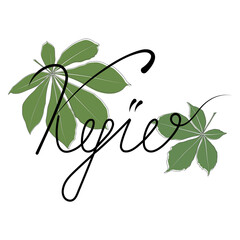 Wall Mural - Vector chestnut leaves with hand drawn Kyiv lettering in skoropys style outline icon. Simple outline chestnut leaves illustration for logo. Realistic hand drawn leaves illustation on white background.