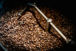 Close up machine spatula with brown arabica coffee beans near special equipment. Factory concept.