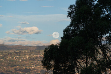 Wall Mural - Beautiful sunrise with the full moon