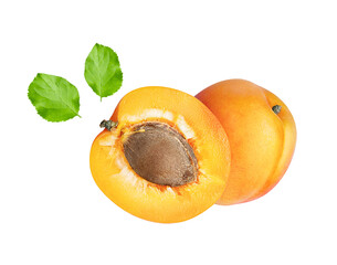 Apricots isolated on white or transparent background. Two apricot fruits whole and cut half with green leaves