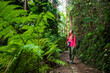 A backpacking girl walks through a dense tropical rainforest in springrbook national park, australia; hiking through a jungle in queensland