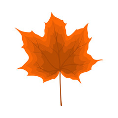 Poster - Maple Autumn Leaf