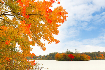 Wall Mural - Beautiful New England Fall Foliage with reflections at sunrise, Boston Massachusetts.