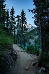 Poster - Vertical shot of a mesmerizing green forest with a snowy mountain in the background