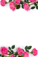 Wall Mural - Pink flowers roses on a white background with space for text. Top view, flat lay