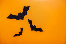 A Collage Layout For The Halloween Holiday. Applications, Carving Figures In The Shape Of Black Bats. View From Above