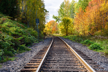 Wall Mural - Curve along a railway running throuth colourful autumnal woods