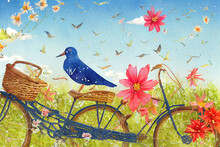 Summer Card With Bicycle, Wicker Basket, Flowers, Birds Sandpipers And Kite, Watercolor Illustration Isolated On White Background, Summer Travel Symbol, Emblem Ecology Transport, Healthy Lifestyle.