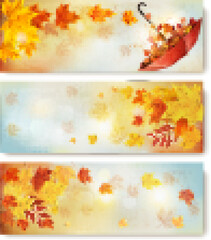 Poster - Three abstract autumn banners with color leaves and umbrella. Vector illustration
