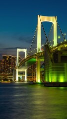 Wall Mural - cityscape of tokyo skyline, vertical time lapse video of office building at tokyo bay in the evening