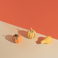 Wall Mural - Minimal autumn scene with several natural colorful pumpkins and against an orange background. Autumn holidays concept.