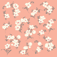 Wall Mural - Beautiful flower illustration material collection,