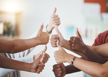 Thumbs Up, Diversity Group And Success Team Collaboration In The Business Workplace. Hand, Teamwork And Support, Trust And Winner, Victory And Successful Planning Strategy.