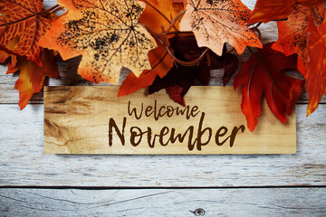 Welcome November text message written on sign board hanging with autumn maple leaves