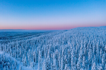 Wall Mural - Frosty sunset over winter Lapland