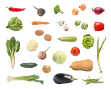 Vegetables Isolated PNG Transparent