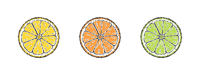 Doodle lemons. Lemon lime and orange. Drawn fruits. Vector illustration