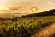 Towers Of High Voltage Cables In An Autumn Sunset In The Fields Of The Penedes Region In The Province Of Barcelona