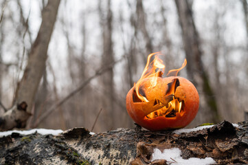 Wall Mural - Scary pumpkin with tongues of flame in a dense forest. Jack o lantern for halloween