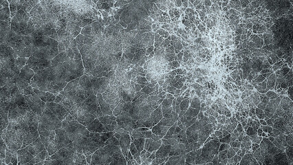 Mycelium fungus, Fusarium euwallaceae. Macro. Background. Texture