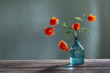 Poster - red poppy in glass bottle on green background