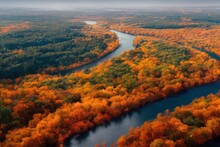 Aerial Drone Flight Over Foggy Autumn Forest And River