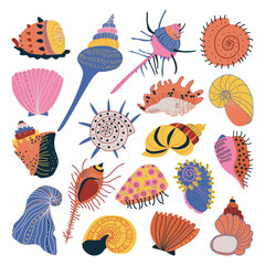 Poster - Doodle Ornamental Seashell and Hard Marine Shell Big Vector Set