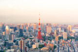 Fototapeta  - The most beautiful Viewpoint Tokyo tower in tokyo city ,japan.