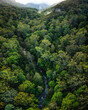 © Austockphoto - Valley with river and dense forest