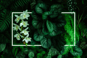 Wall Mural - square color cutout with green leaves, placing a love concept