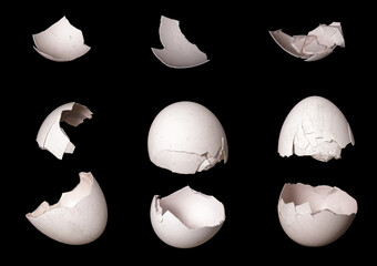 Aufkleber - white eggshell isolated on black background