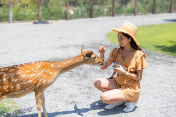 Wall Mural - Travel woman feed snack to formosan sika deer