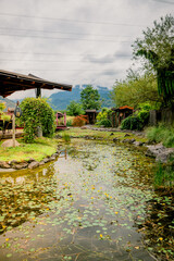 Poster -  Jardin Zen