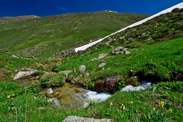 Sticker - Mountain scenery of Mt. Varnous in Prespa National Park, Macedonia, Greece (European Green Belt) // Berglandschaft des Varnous im Prespa Nationalpark, Mazedonien, Griechenland (Grünes Band Europa)