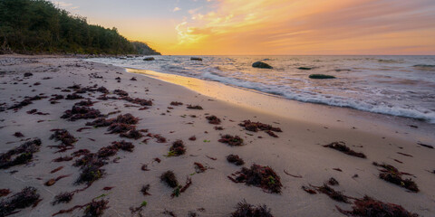 Wall Mural - colorful sunset on the seashore