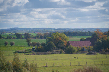 Wall Mural - Flat farmlands and pastures in autumn colored Skåne (Scania) Sweden