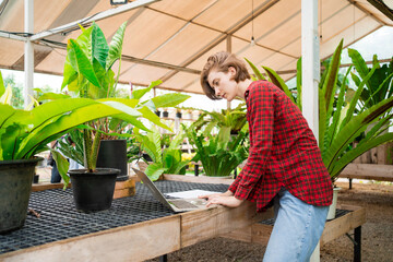 A Caucasian woman working in a nursery. hobby planting trees happily Idea for green lovers who love plants and botany. Tree farm. A gardener who sells plants in the garden, home and garden.