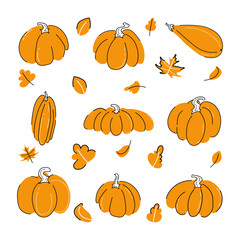 Wall Mural - Pumpkins set vector illustration with falling leaves isolated on white background. Different shapes and sizes Orange and white color with black outline flat doodle style design