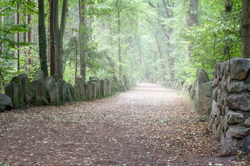 The Sachsenhain is a tour lined with 4500 granite stones and was built in 1935 as a memorial for the Bloody court of Verden, at which 4500 Saxons were allegedly murdered by the Franconian king Karl.