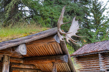 Moose Antlers Mounted The Top Of An Alaskan Hunting Cabin