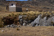 Casa rural ubicada sobre terreno rocoso y agreste en valle de vegetación andino 