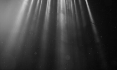 Wall Mural - light streak light effect, spotlight on black background.
