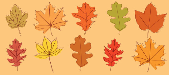 Wall Mural - A set of autumn leaves drawn in a continuous line. Autumn leaf in one line. Vector illustration.