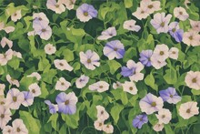 Painting Of Morning Glory Flowers With Green Leaves