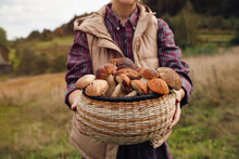 Woman Holding Wicker Basket With Fresh Wild Mushrooms Outdoors, Closeup