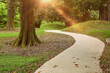 Picturesque view of tranquil park with paved pathway